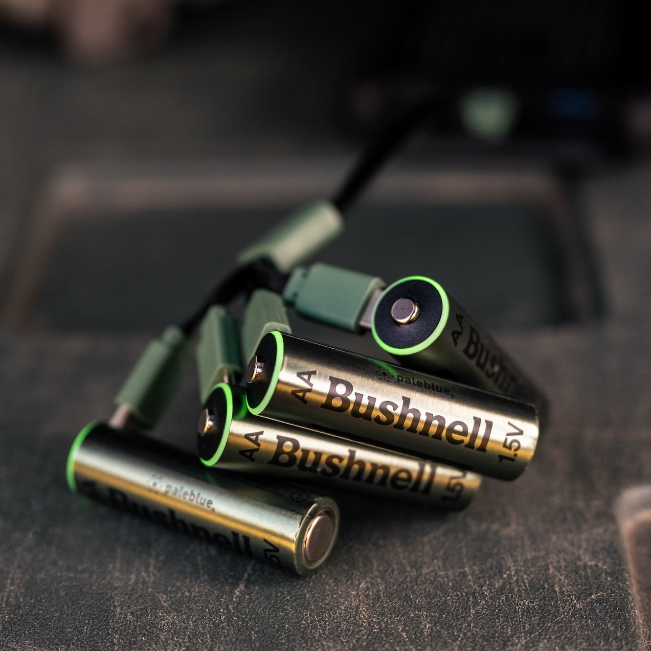 PaleBlue_x_Bushnell_63_E.jpg