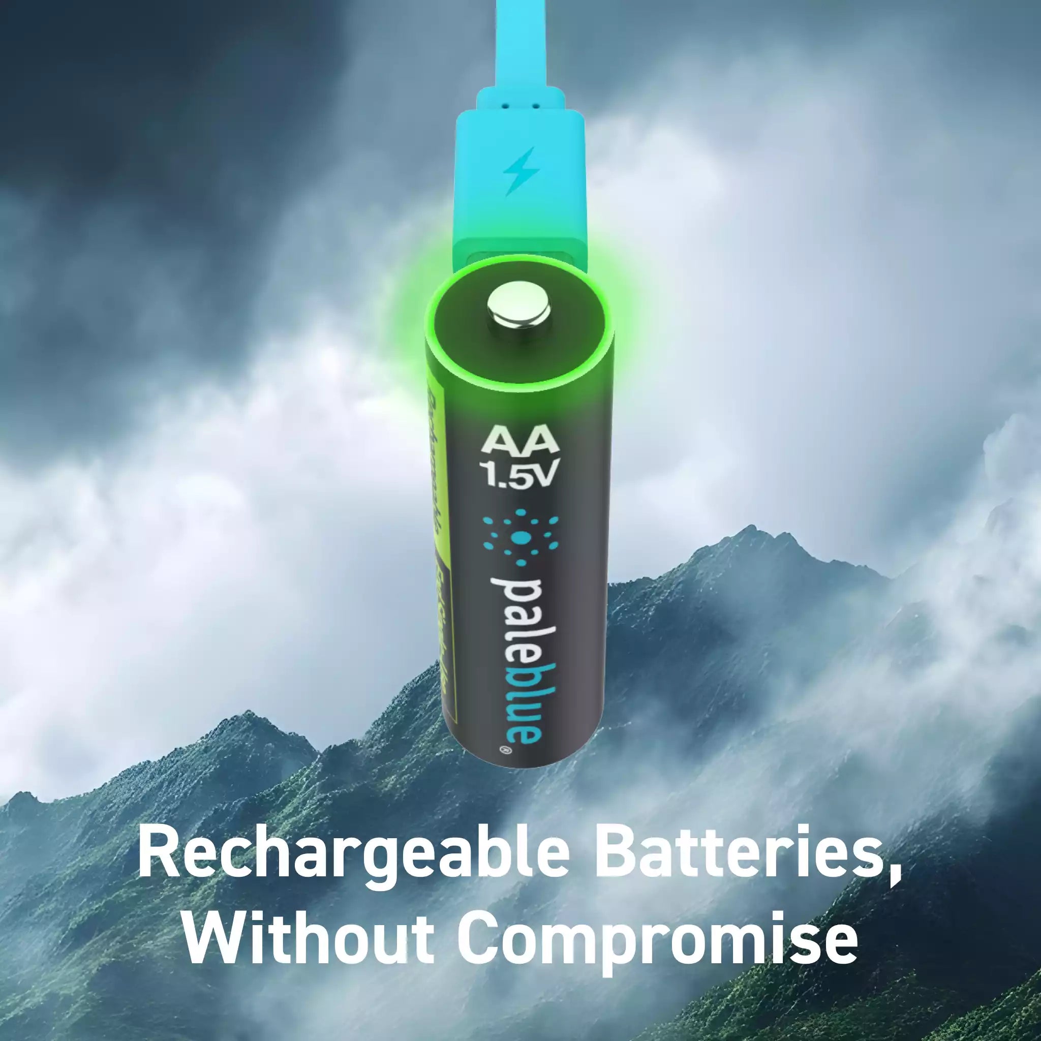 Voyager AA USB-C Rechargeable Batteries