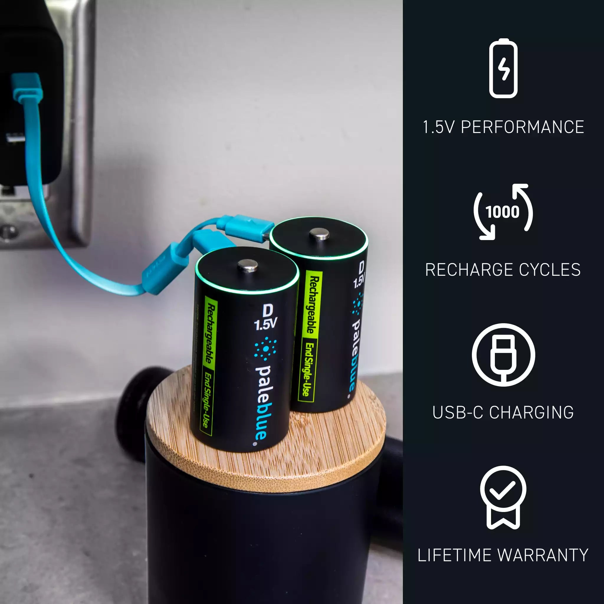 Voyager D USB-C Rechargeable Batteries